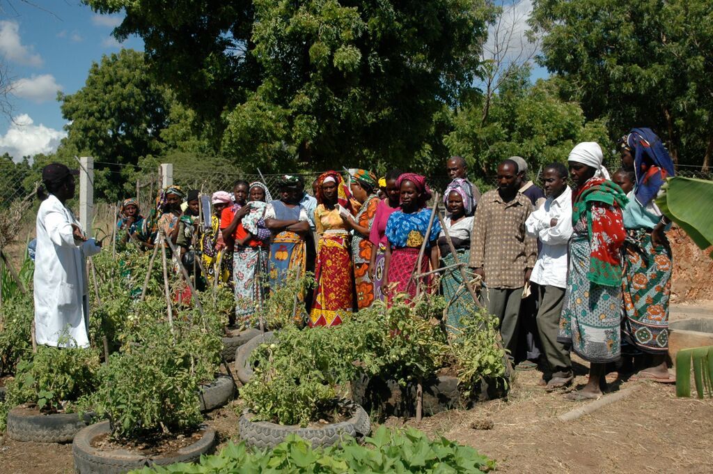 Programs | Go Green Foundation